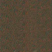 Grass - cod 41_9